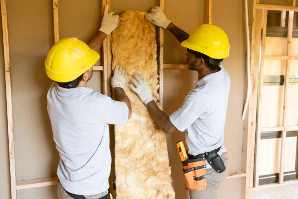 Best Local Insulation Services  in Milan, IN